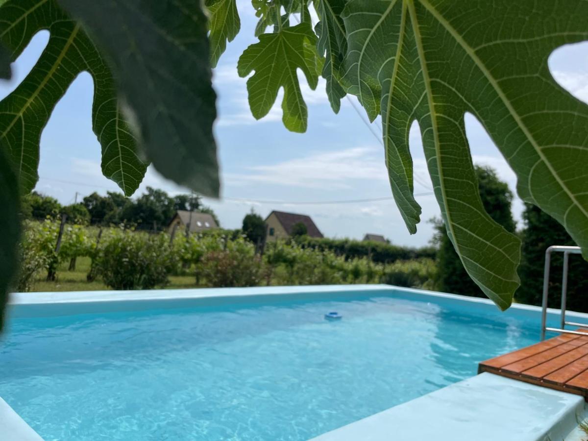 Fuege Vendeghaz Holiday home *